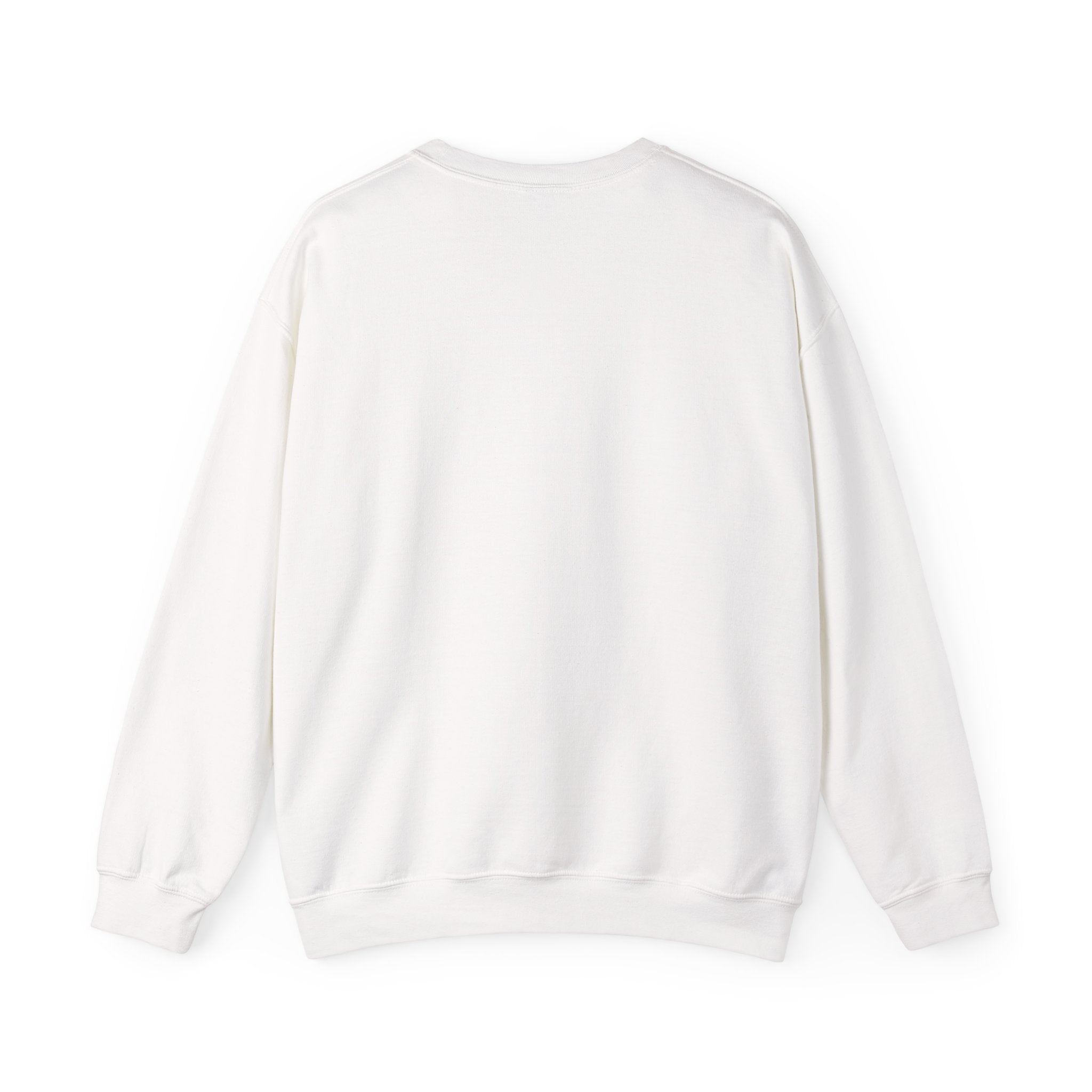 Barely Coping But Make It Aesthetic Sweatshirt | mental health humor, retro wavy text